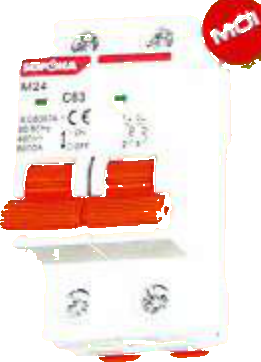 Aptomat (MCB) 2 pha M24-2P32A